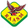 RAASM